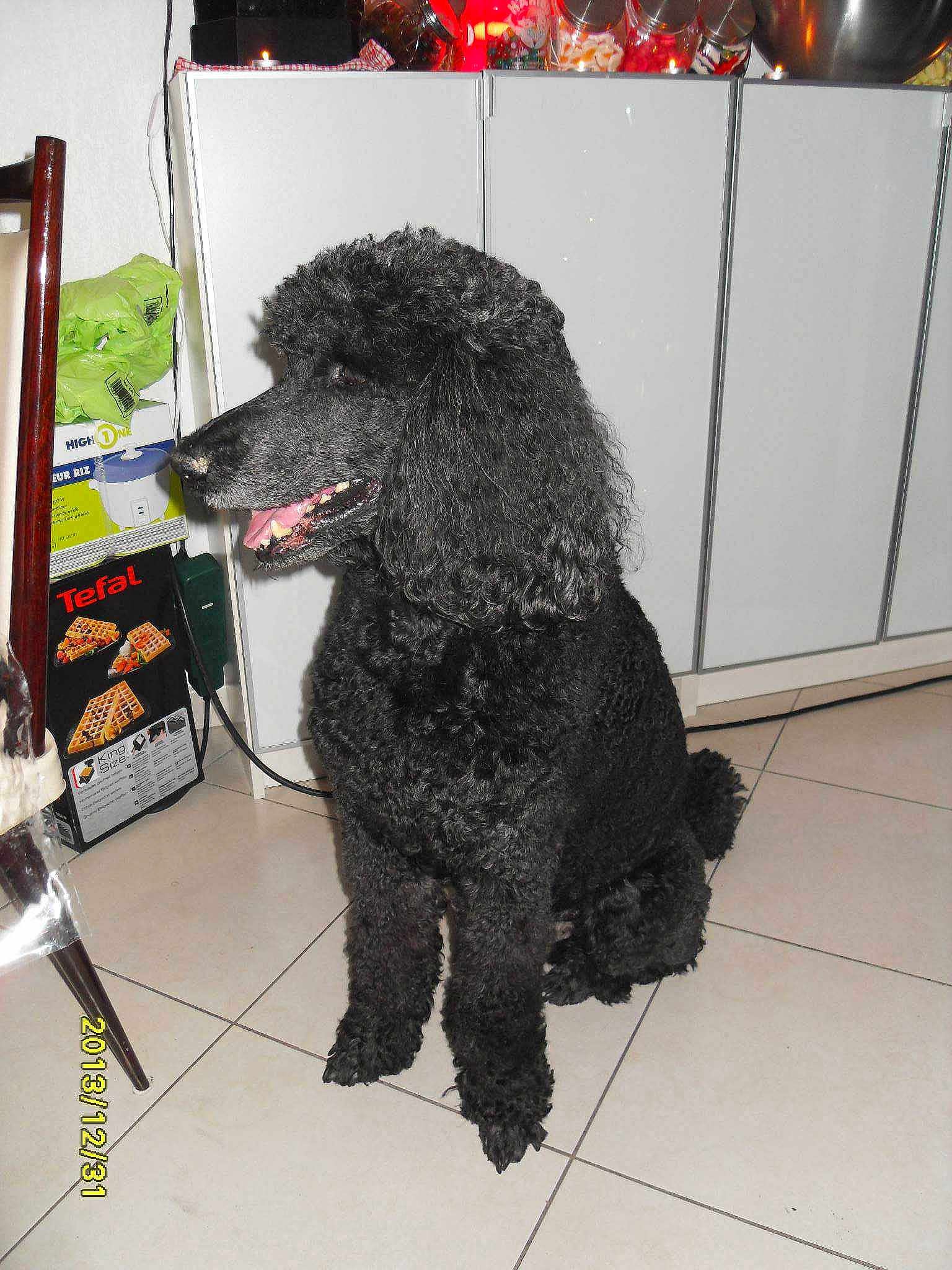 Beatricegarcia4695neuffr