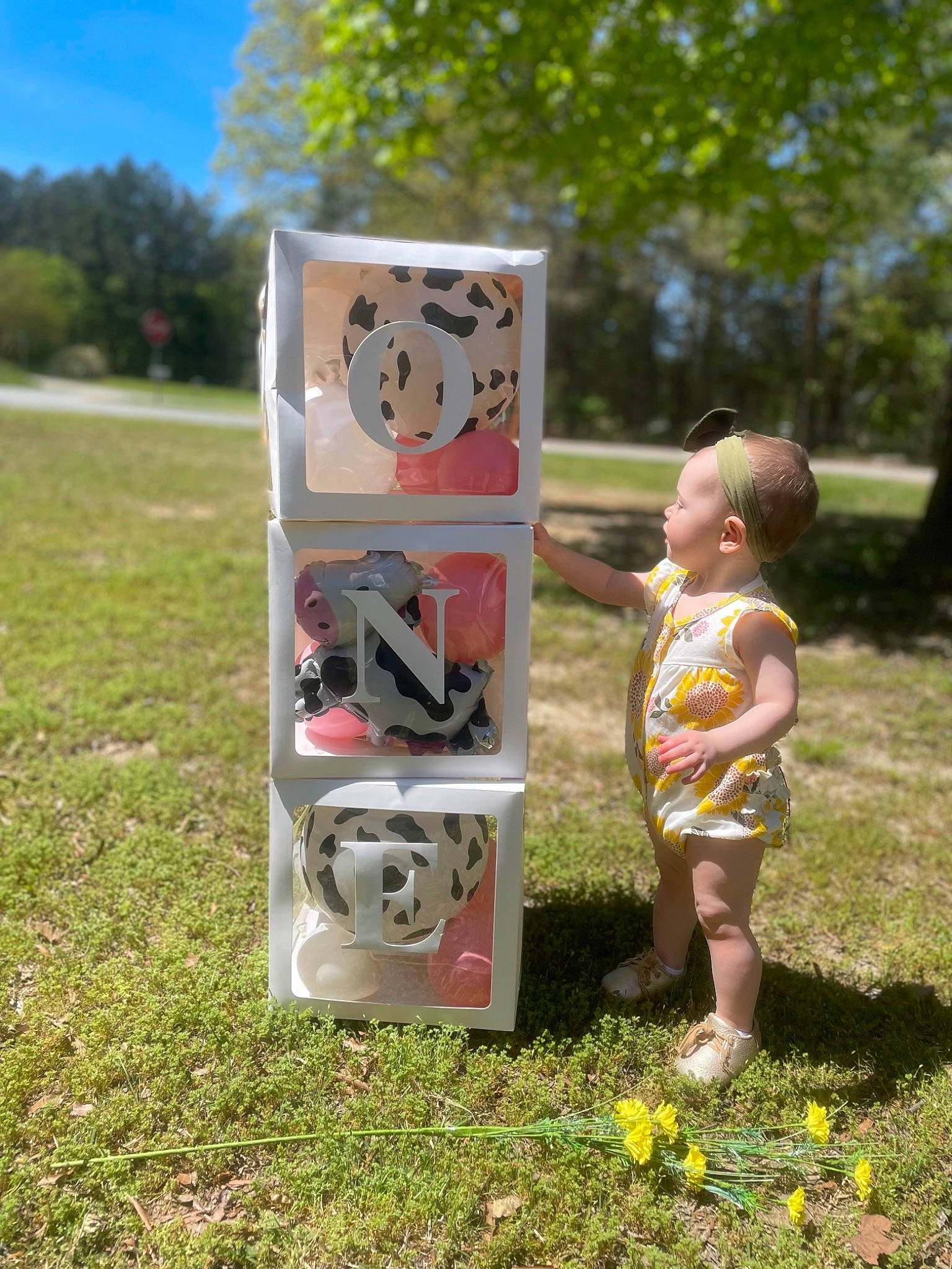 Molly joined the competition — help win amazing prizes! art, baby, chair, child, flower, fun, grass, lawn, lawn_ornament, leisure, mammal, people_in_nature, person, plant, play, recreation, sky, toddler, toy, tree