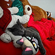 Gatito is registered to the contest to win money with this photo: cat, comfort, cozy, cute, domestic_cat, feline, furry, gray_cat, indoor, nap, pet, plush_toys, red_blanket, relaxing, resting, sleeping, soft, stuffed_animals, toy_bear, toy_raccoon