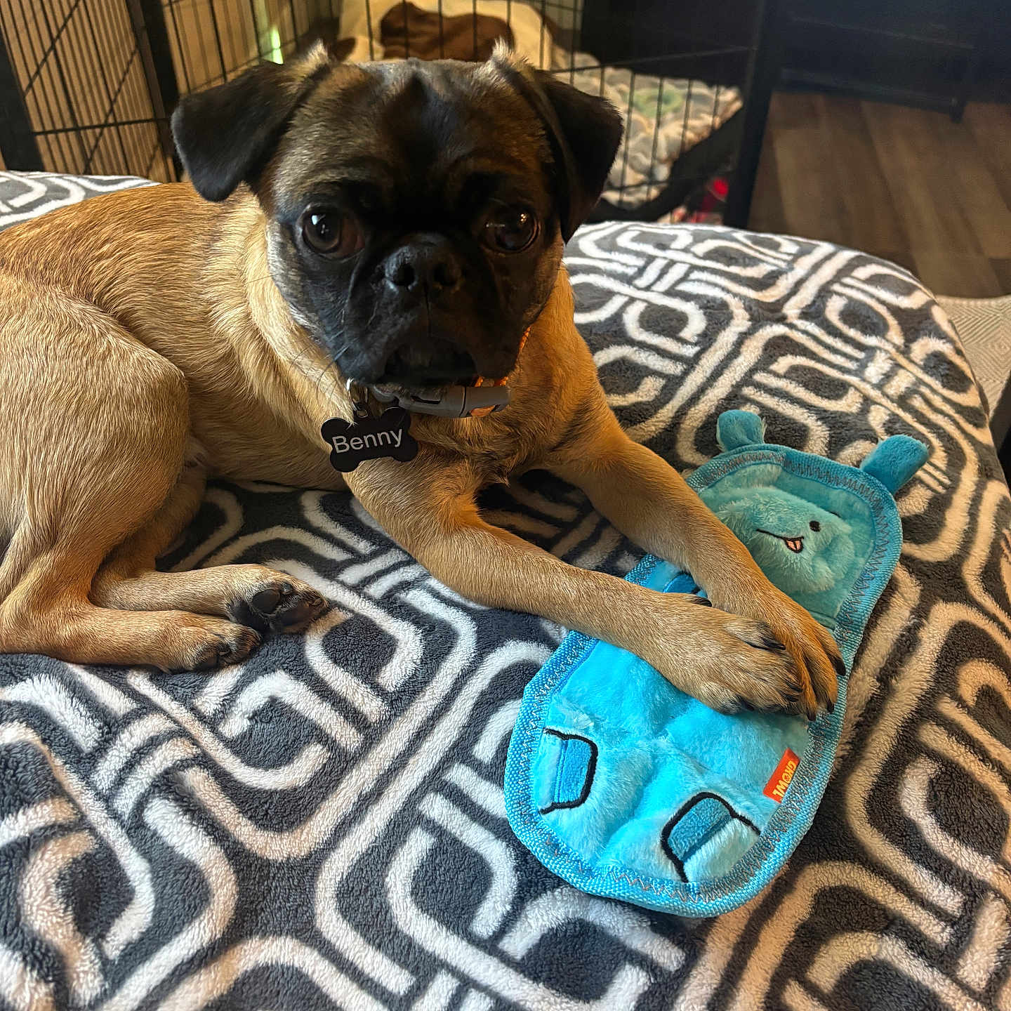 Benny