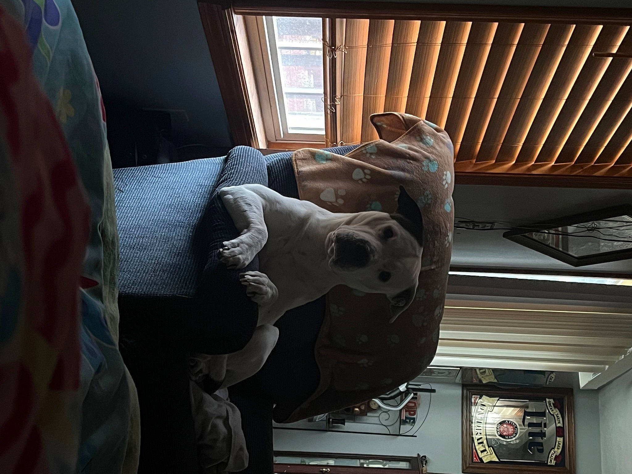 Ragnar is registered to the contest to win money with this photo: art, artifact, beam, carving, ceiling, comfort, couch, daylighting, hardwood, metal, room, sculpture, statue, visual_arts, window, wood