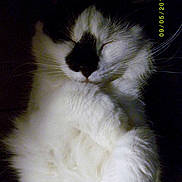 Kenzo participe au concours pour gagner de l'argent avec cette photo :