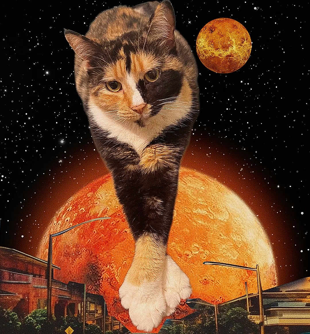 Sable Anne