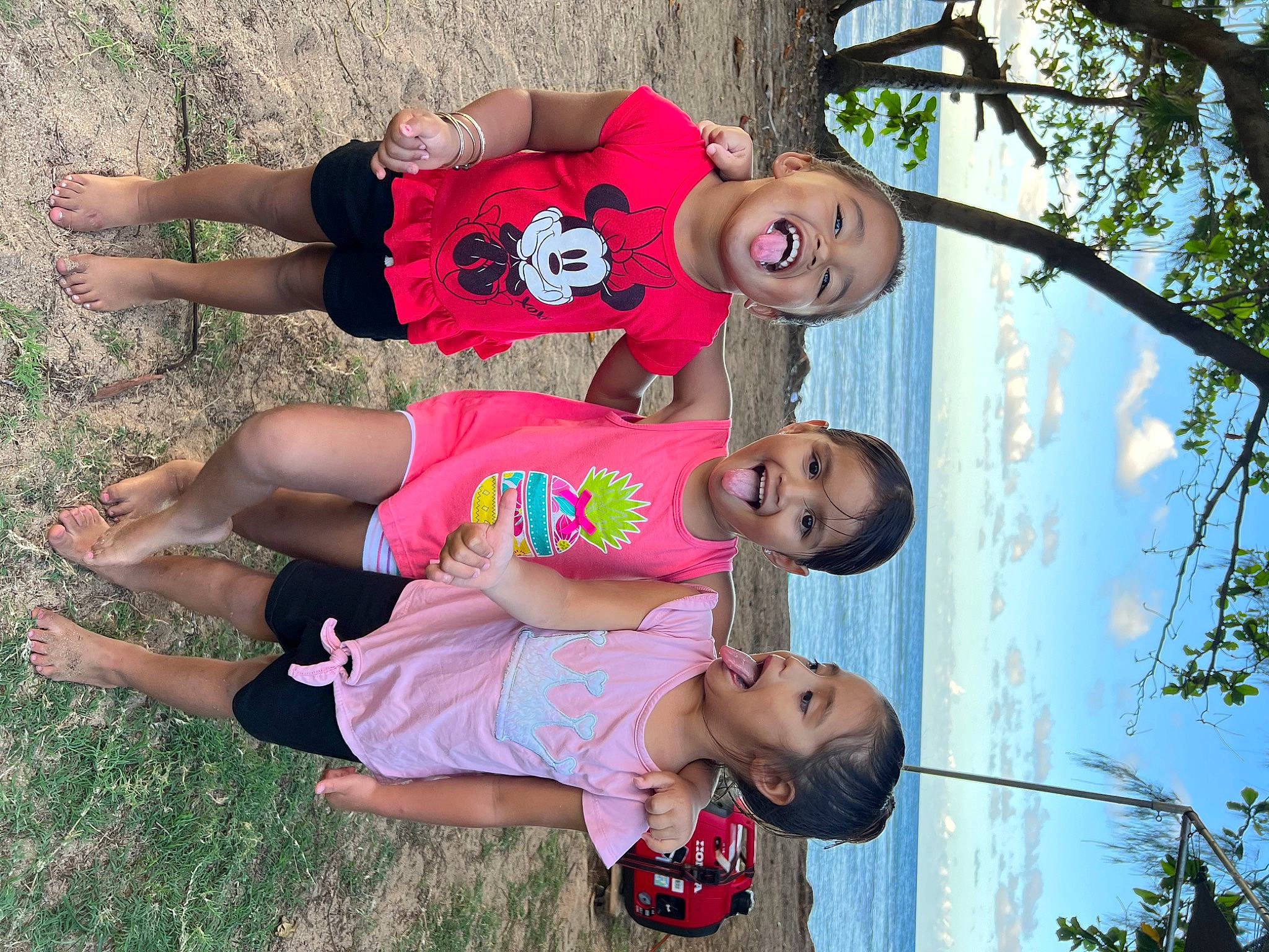 Azaleia is registered to the contest to win money with this photo: arm, fun, grass, happy, leg, leisure, organ, people, people_in_nature, person, photograph, pink, plant, recreation, red, shorts, sky, smile, t_shirt, thigh