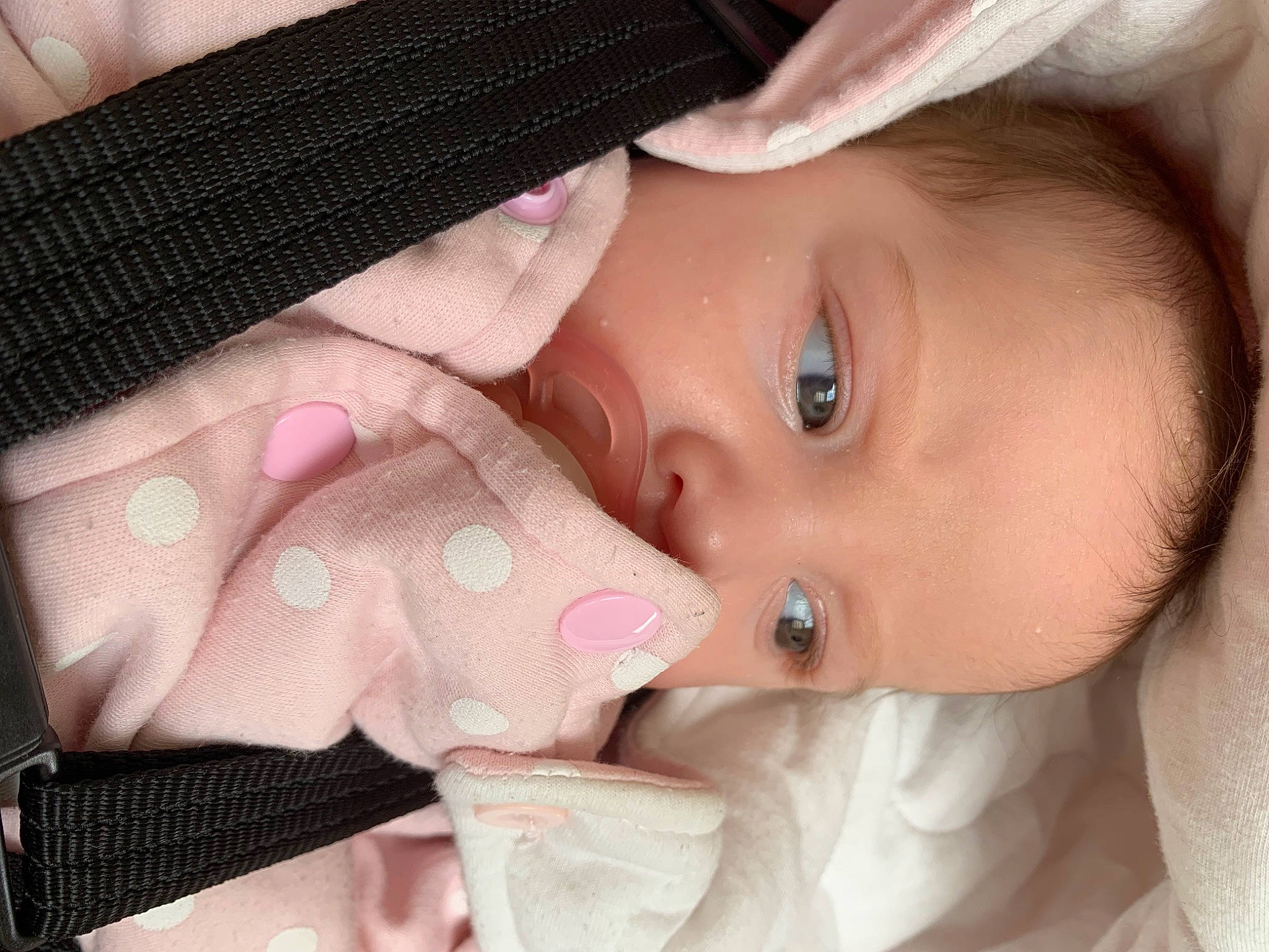 Alya participe au concours pour gagner de l'argent avec cette photo : arm, baby, cheek, chin, ear, eyebrow, eyelash, facial_expression, hand, head, human, human_body, lip, mouth, muscle, neck, nose, person, product, skin