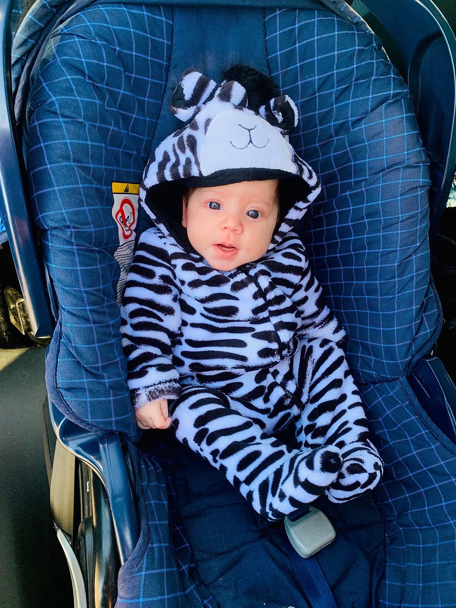 Alya participe au concours pour gagner de l'argent avec cette photo : baby, baby_carriage, baby_products, baby_toddler_clothing, black, blue, cap, child, comfort, costume_hat, electric_blue, hat, headgear, headwear, outerwear, pattern, person, sitting, sleeve, street_fashion