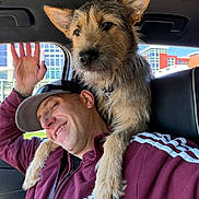 Lokie joined the competition — help win amazing prizes! man, dog, car, window, smile, happy, casual_clothing, cap, pet, friendship, indoor, seat, seatbelt, urban_background, paw, fur, headwear, gesture, human, animal