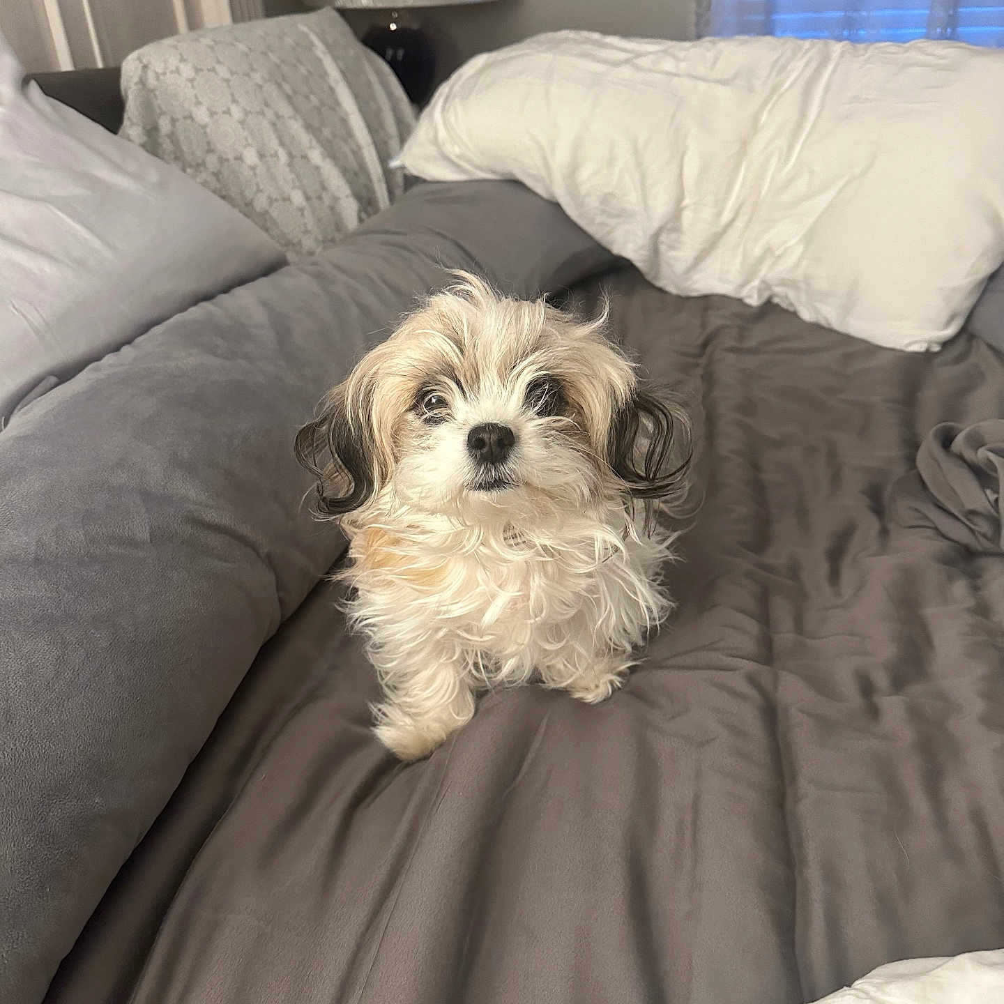 Daisy Mae