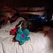 Blu joined the competition — help win amazing prizes! animal, bed, blanket, casual, comfort, dim_lighting, dog, furniture, home, indoor, person, pet, plush_toy, relaxing, resting, shelf, sleepwear, toy, white_bedding, wood_floor