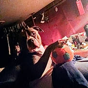 Blu joined the competition — help win amazing prizes! ball, bed, bedroom, blanket, ceiling, clothing, clutter, cozy, dog, hanger, indoor, low_light, muzzle, paw, pet, pitbull, plush_ball, portrait, toy, wall