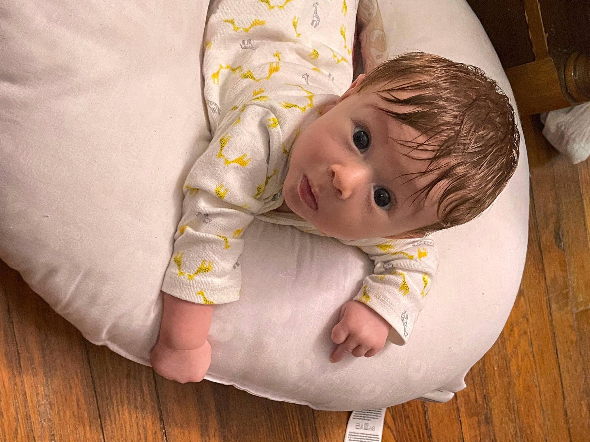Raphael joined the competition — help win amazing prizes! baby, baby_products, baby_safety, baby_toddler_clothing, cheek, child, comfort, eye, flooring, hand, happy, hardwood, iris, linens, nose, person, sitting, skin, sleeve, surprise