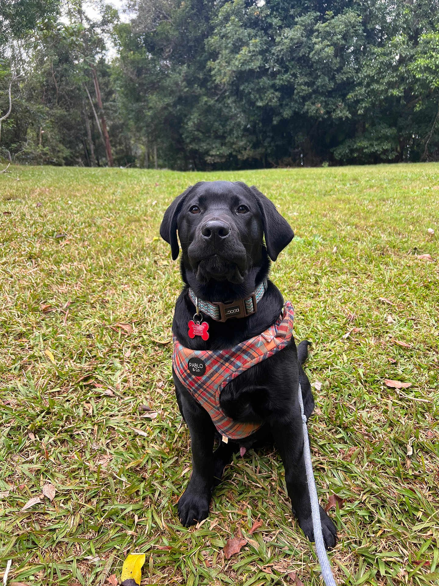 Charlie