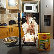 Fuego participe au concours pour gagner de l'argent avec cette photo : birthday, cabinet, cake, candles, celebration, dog, dog_bowl, dog_treats, food, glasses, happy, holding, indoor, kitchen, microwave, pet, refrigerator, smile, table, woman