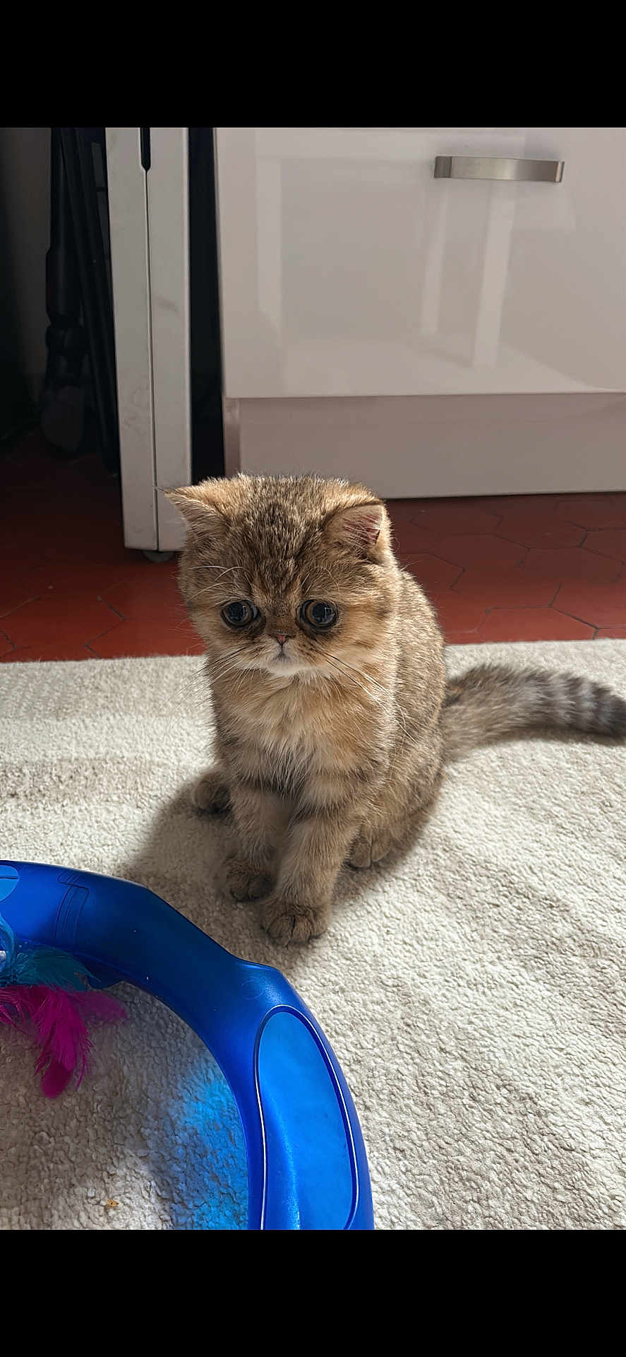 Lèzia