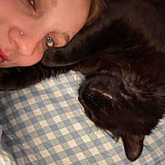 Bagheera a rejoint le concours — aidez-le/la à gagner de superbes lots ! person, face, cat, black_cat, pet, sleeping, pillow, checkered_pattern, closeup, indoor, cozy, resting, companion, snuggling, cute, feline, human, portrait, relaxing, bedroom