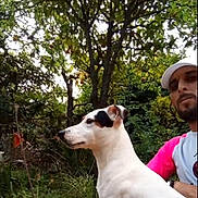 Spooky participe au concours pour gagner de l'argent avec cette photo : dog, man, outdoor, garden, tree, greenery, animal, pet, portrait, white_dog, black_spot, cap, casual_clothing, nature, foliage, summer, side_view, human, companion, leisure