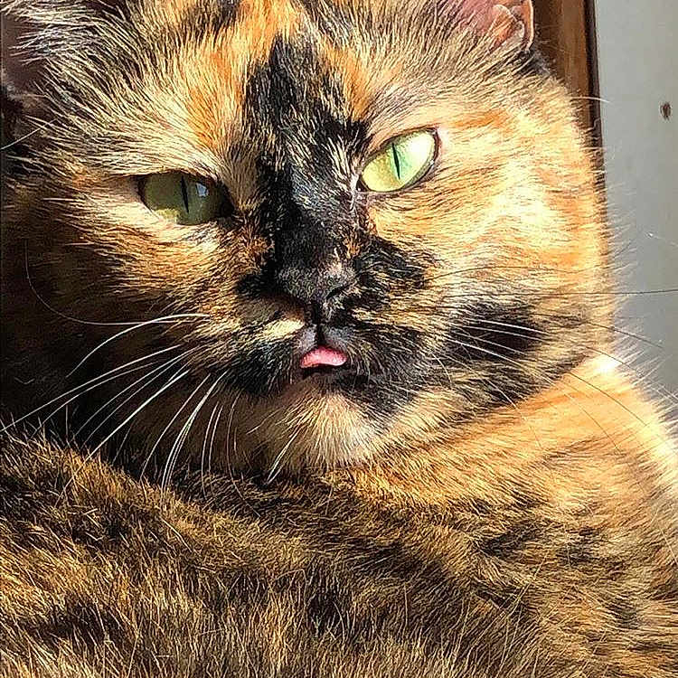 Topaz