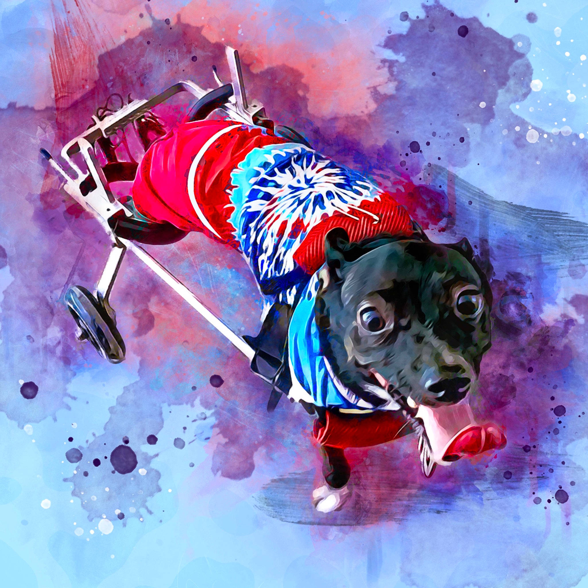 Kobe is registered to the contest to win money with this photo: art, carnivore, companion_dog, dog, dog_breed, dog_clothes, dog_supply, drawing, electric_blue, fawn, fictional_character, illustration, leash, paint, painting, pet_supply, snout, visual_arts, winter, working_animal