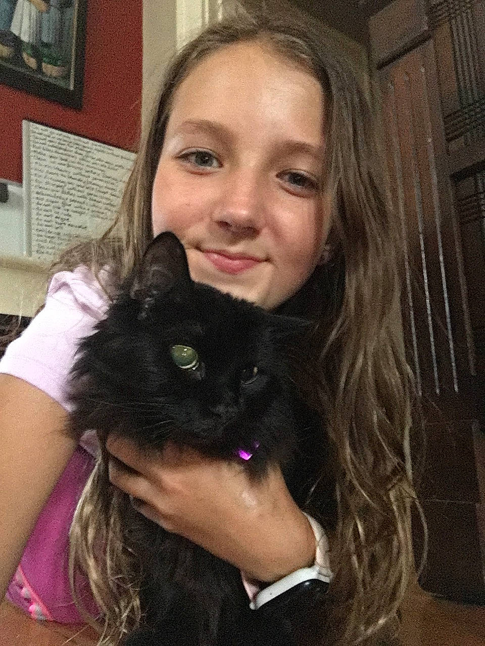 Fantastico is registered to the contest to win money with this photo: black_cat, black_hair, brown_hair, canidae, carnivore, cat, domestic_long_haired_cat, ear, fawn, felidae, fur, hair, iris, kitten, long_hair, photography, small_to_medium_sized_cats, whiskers