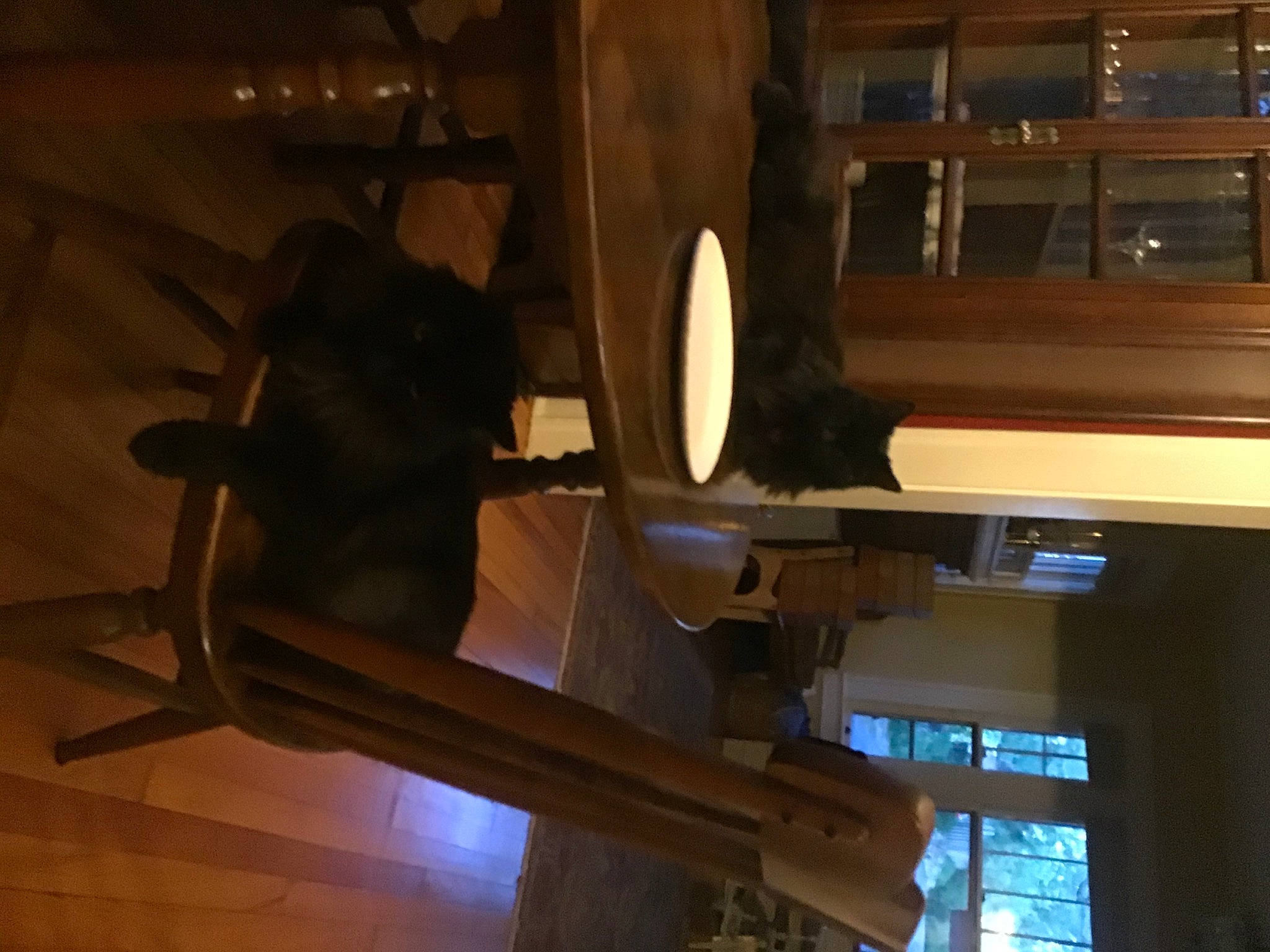 Fantastico joined the competition — help win amazing prizes! beam, ceiling