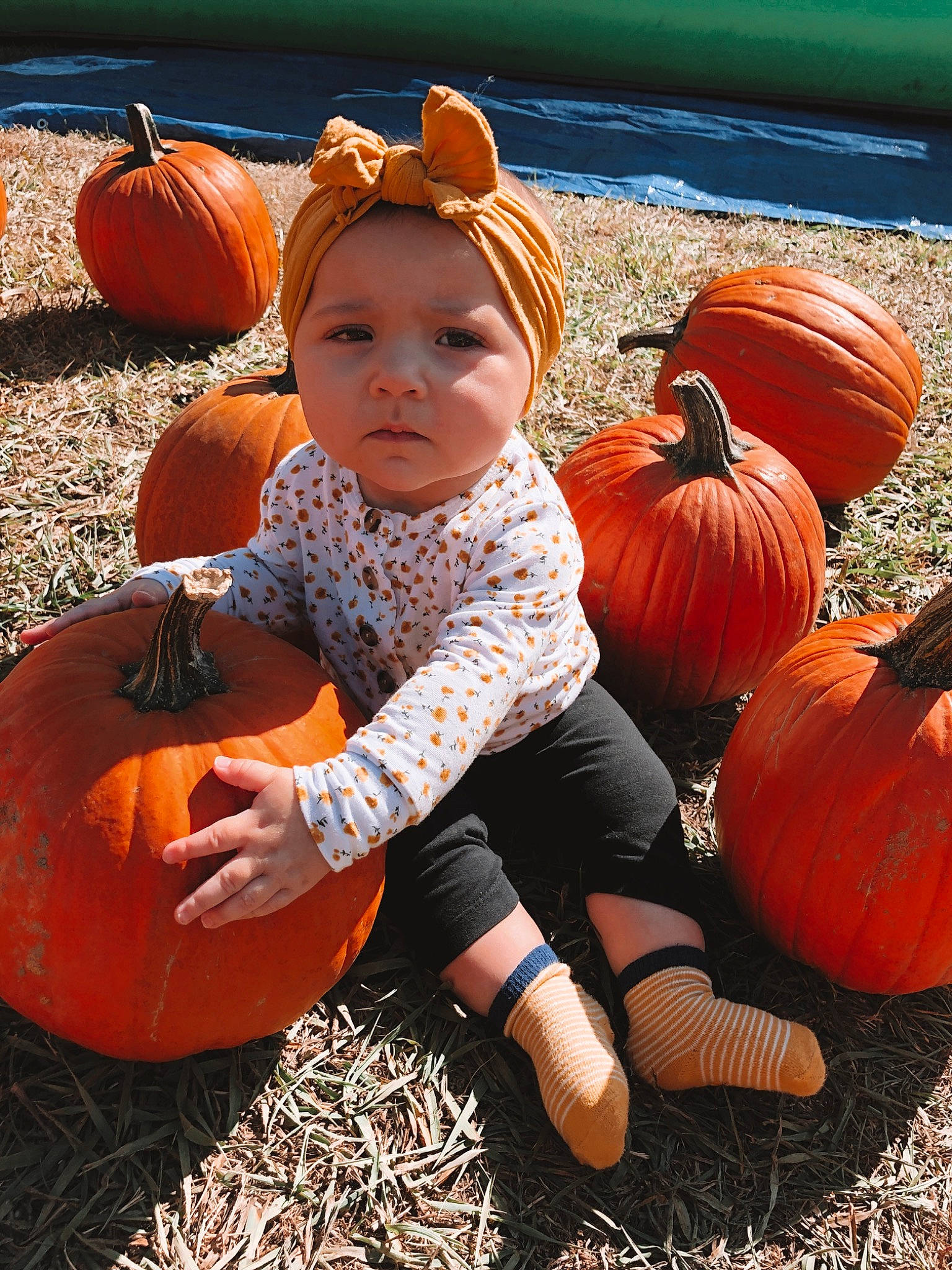 Ellee is registered to the contest to win money with this photo: calabaza, child, cucurbita, food, fruit, gourd, local_food, orange, person, plant, produce, pumpkin, smile, squash, toddler, vegetable, vegetarian_food, winter_squash