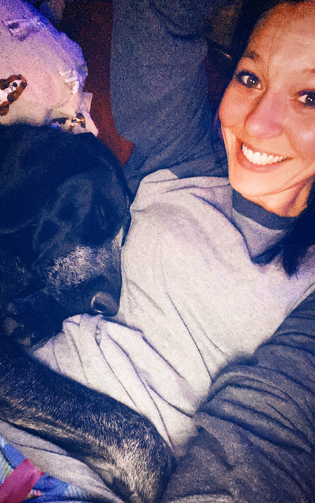 Almond Joy is registered to the contest to win money with this photo: black_hair, blue, carnivore, cloud, comfort, companion_dog, cool, couch, dog, dog_breed, ear, eye, hairstyle, happy, head, human_body, jaw, neck, smile, textile