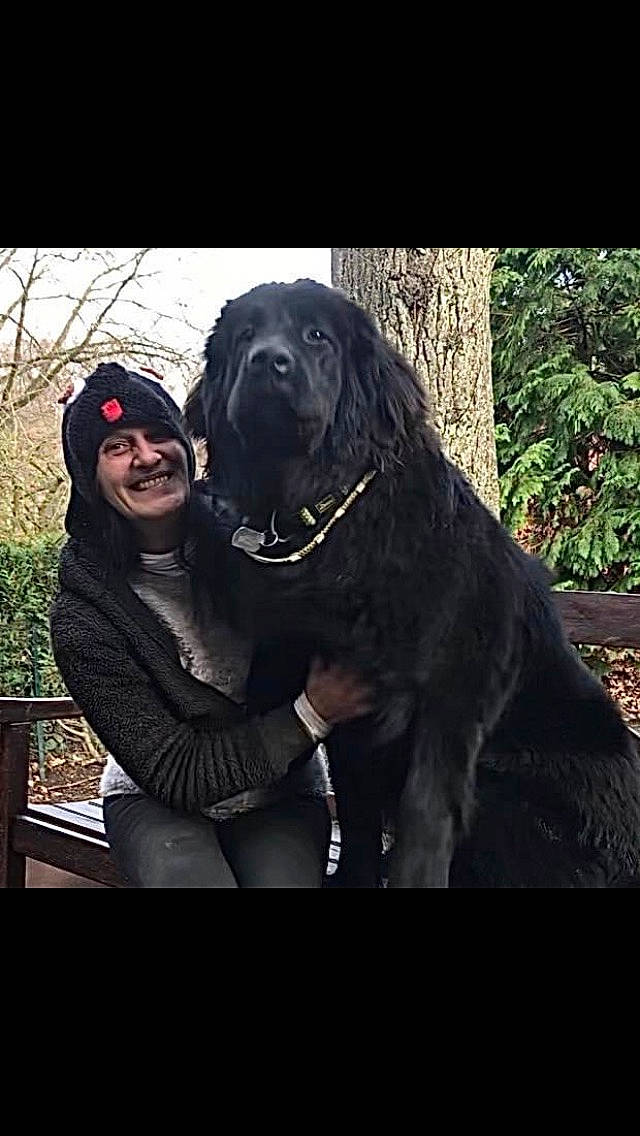 Tina a rejoint le concours — aidez-le/la à gagner de superbes lots ! carnivore, companion_dog, dog, dog_breed, dog_collar, eyewear, formal_wear, fur, gesture, giant_dog_breed, guard_dog, gun_dog, happy, love, plant, retriever, smile, sporting_group, tree, working_animal