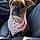 Scrappy