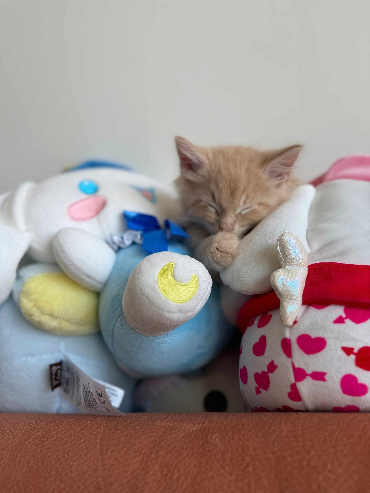 Kuma joined the competition — help win amazing prizes! kitten, cat, sleeping, plush_toys, stuffed_animals, soft, cute, cozy, nap, beige, indoor, close_up, toy, comfort, pet, animal, feline, resting, cute_pet, small