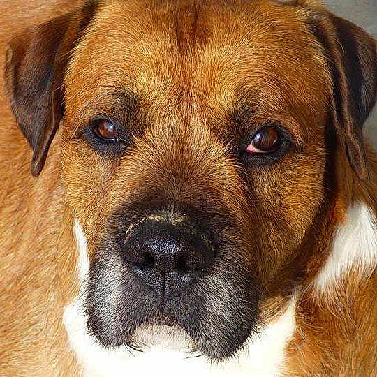 Gino participe au concours pour gagner de l'argent avec cette photo :