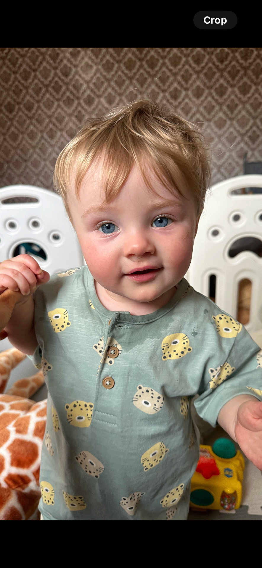 Teddy joined the competition — help win amazing prizes! toddler, child, blue_eyes, blonde_hair, shirt, leopard_print, plush_toy, giraffe, indoor, play, smiling, cute, face, person, baby, furniture, background, toy, happy, portrait