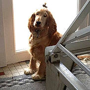 Hivanna participe au concours pour gagner de l'argent avec cette photo :