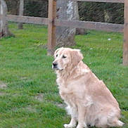 Belle a rejoint le concours — aidez-le/la à gagner de superbes lots !