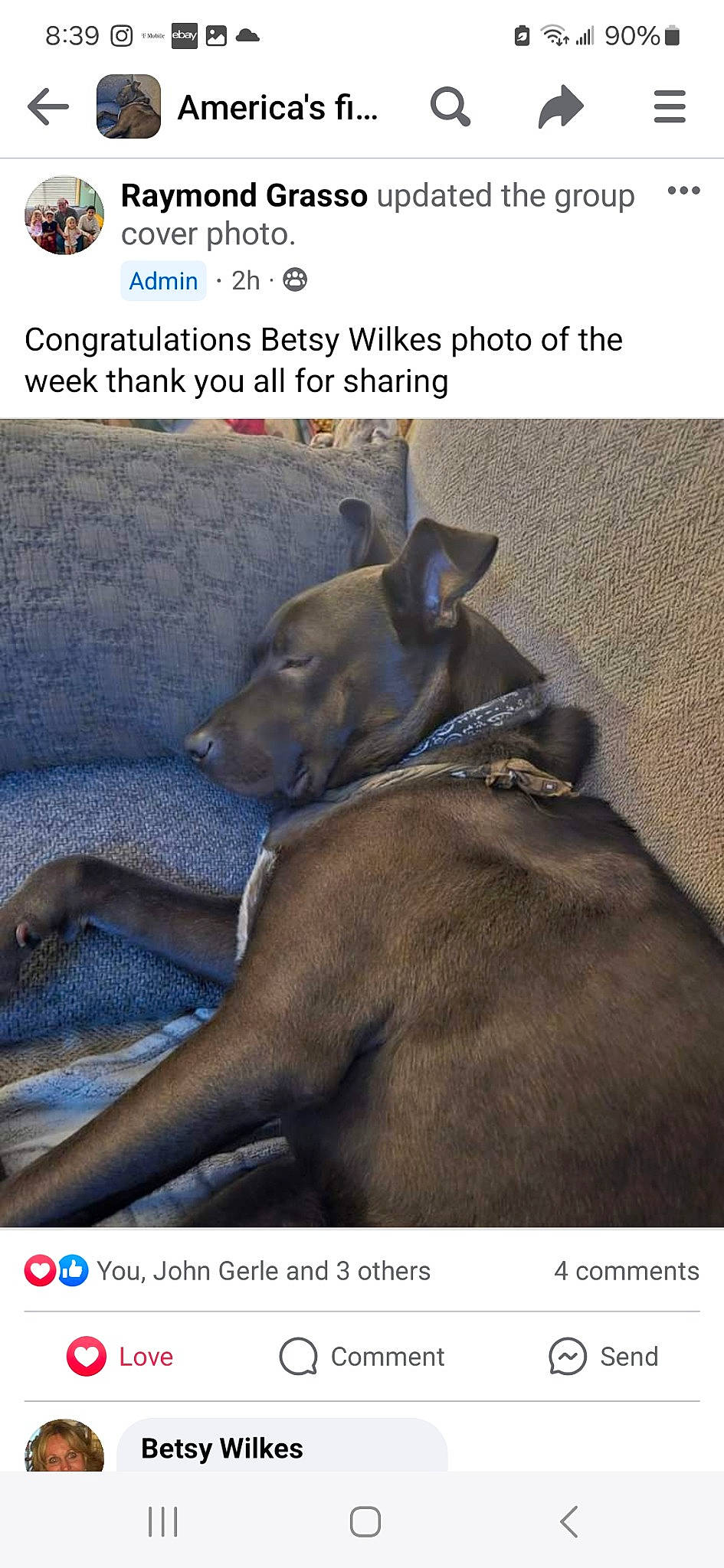 Jett is registered to the contest to win money with this photo: adaptation, canidae, carnivore, collar, comfort, companion_dog, dog, dog_breed, dog_supply, font, internet_meme, liver, organism, pet_supply, photo_caption, screenshot, snout, sporting_group, terrestrial_animal, working_animal