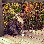 Monica joined the competition — help win amazing prizes!