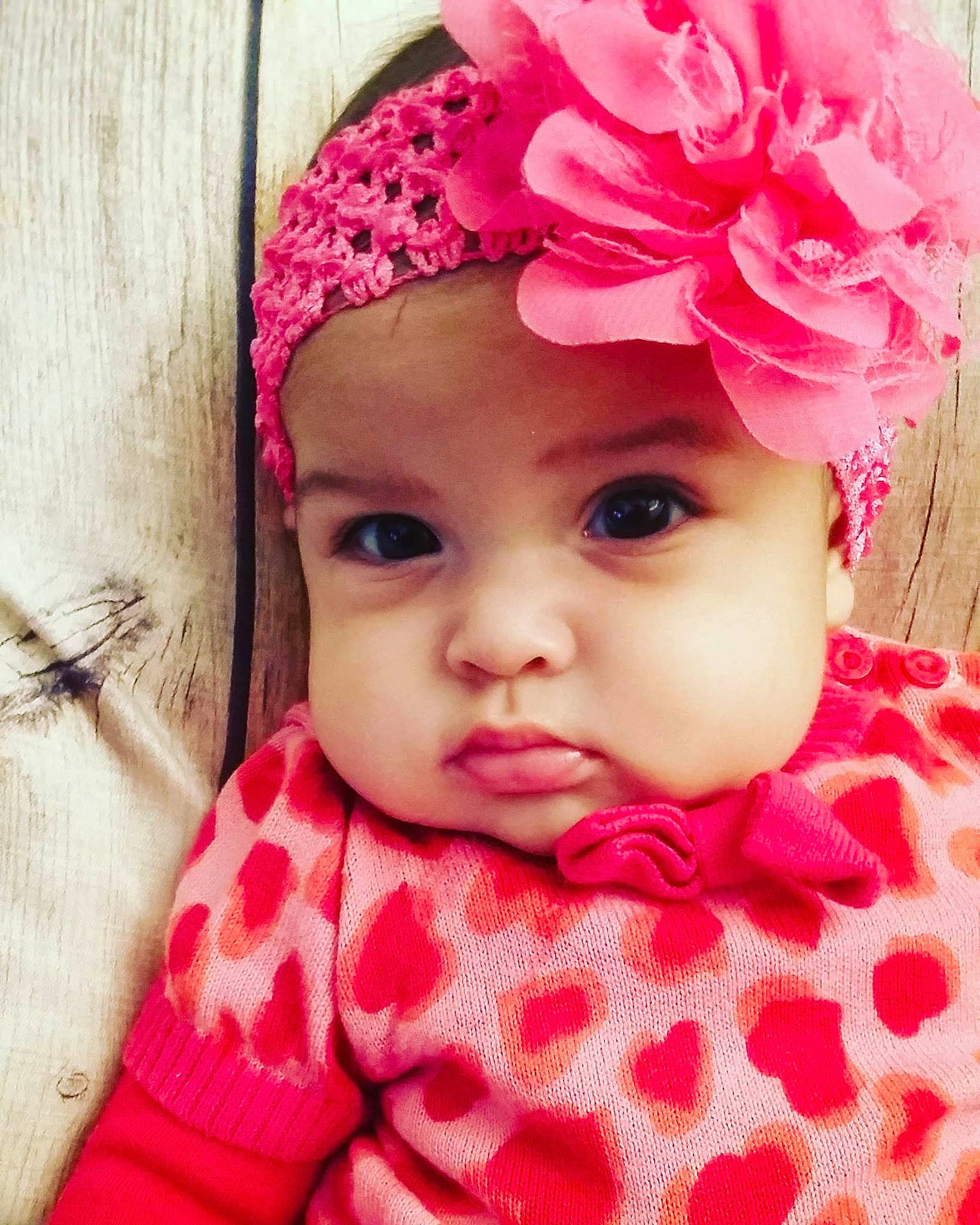 Milarose participe au concours pour gagner de l'argent avec cette photo : cheek, child, child_model, flower, girl, hair_accessory, headband, headgear, headpiece, headwear, infant, lip, person, petal, pink, rose_family, smile, toddler