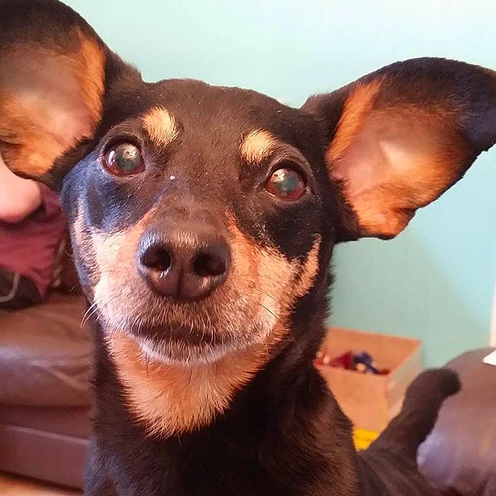 Ruby joined the competition — help win amazing prizes!