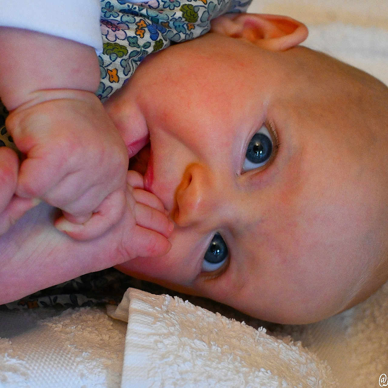 Hildegarde a rejoint le concours — aidez-le/la à gagner de superbes lots ! baby, blanket, blue_eyes, child, close_up, curious, cute, expression, face, floral_pattern, foot, hand, indoors, infant, lying_down, newborn, portrait, skin, soft_texture, toes