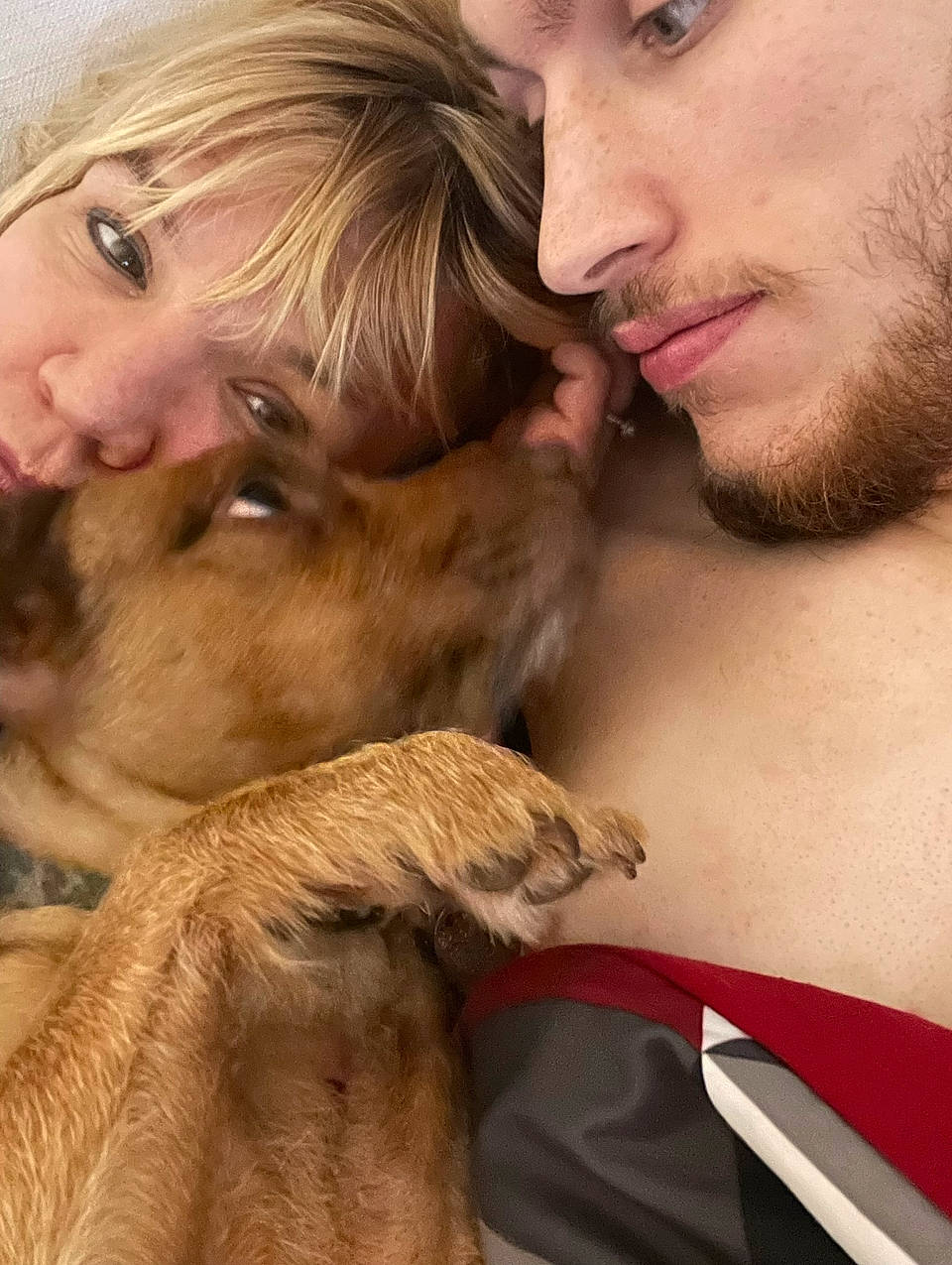 Milo joined the competition — help win amazing prizes! beard, companion_dog, ear, eye, eyelash, face, fawn, gesture, hair, happy, jaw, liver, mouth, neck, nose, organ, skin, smile, snout, working_animal