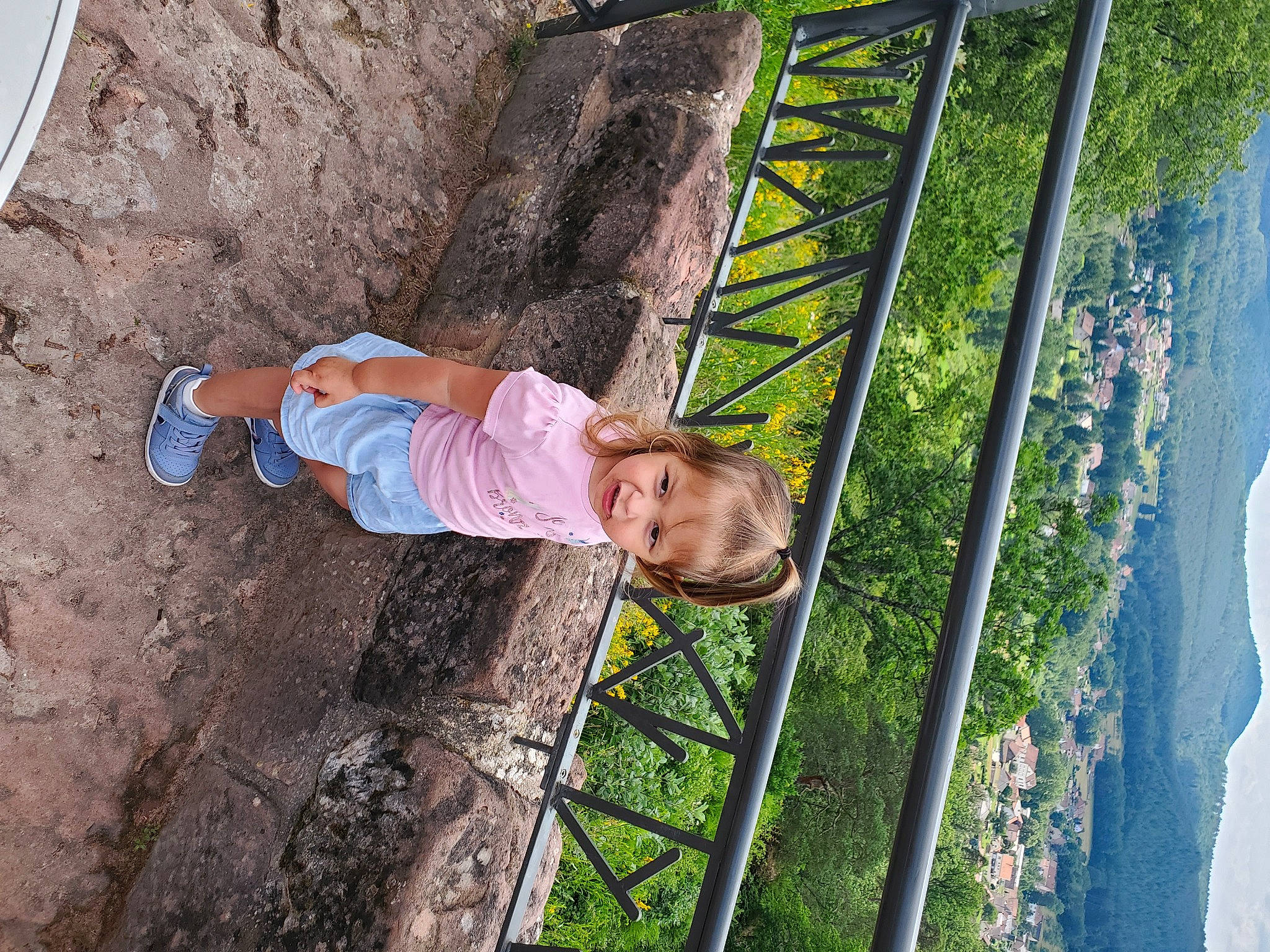 Annaleore participe au concours pour gagner de l'argent avec cette photo : adventure, climbing_harness, fun, grass, landscape, leisure, mountain, outdoor_play_equipment, outdoor_shoe, people_in_nature, person, recreation, rock, rope, shorts, sky, t_shirt, toddler, tree, vacation