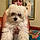 Oliver