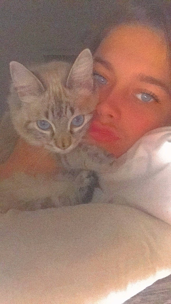 Rasta a rejoint le concours — aidez-le/la à gagner de superbes lots ! bathing, carnivore, cat, chest, comfort, domestic_short_haired_cat, ear, eyebrow, eyelash, fawn, felidae, fur, iris, jaw, nose, photo_caption, selfie, small_to_medium_sized_cats, visual_arts, whiskers