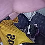 black_and_white, blanket, casual, close_up, collar, comfort, companion, couch, dog, friendship, hand, indoor, partial_face, paw, person, pet, relaxed, resting, snuggling, yellow_shirt