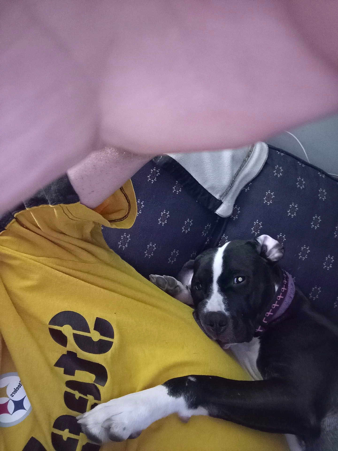Pennie