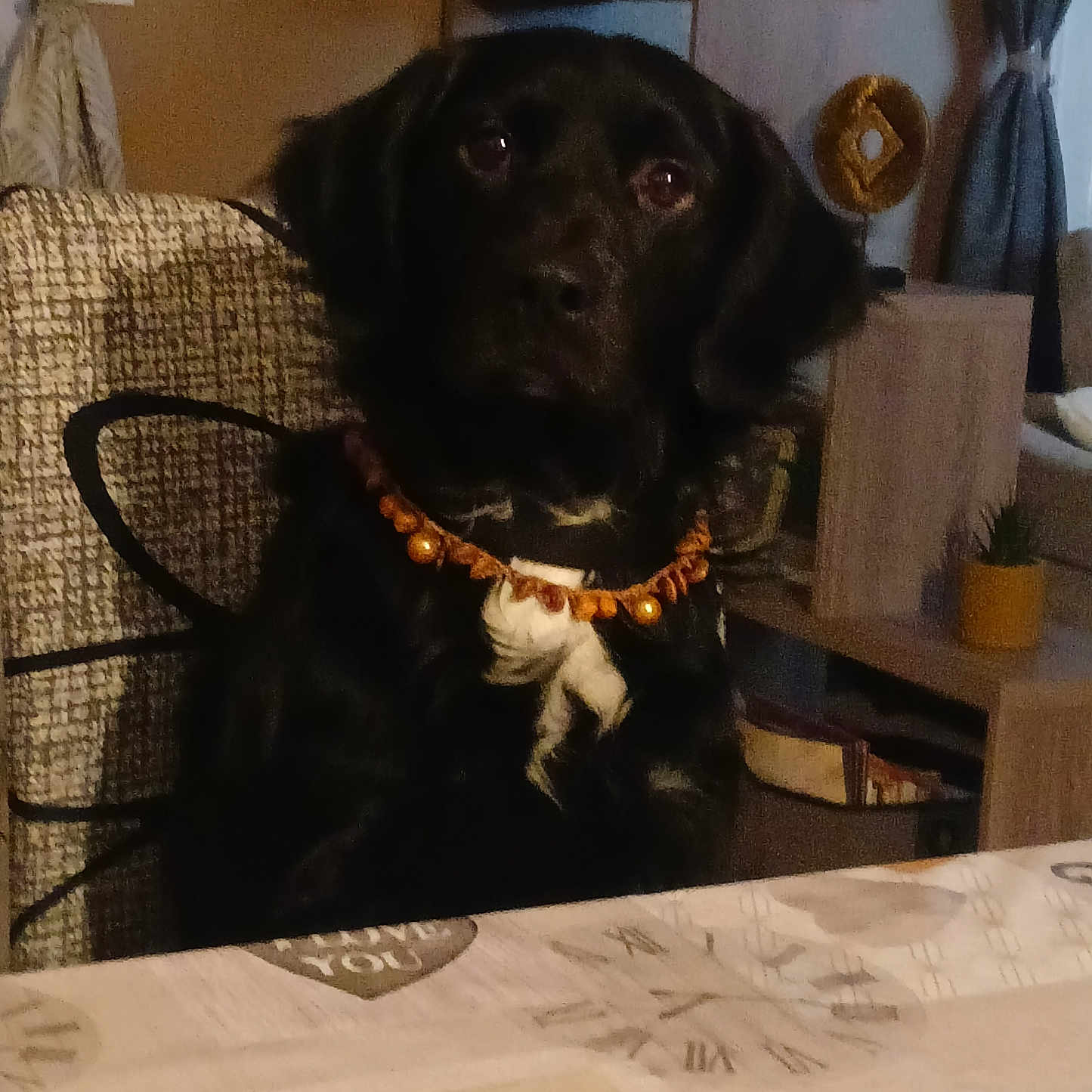 Tico