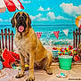 dog, beach, umbrella, watermelon, basket, fruit, pinwheels, ocean, sky, clouds, sand, wooden_fence, toy_turtle, bucket, decorations, summer, playful, colorful, happy, indoor