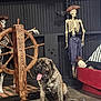 Waldo joined the competition — help win amazing prizes! animal, black_wall, brindle, concrete_floor, costume, decor, dog, floor, hat, indoor, large_dog, pet, pirate, props, red_couch, seated, ship_wheel, skeleton, striped_pants, tongue_out