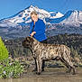 Waldo joined the competition — help win amazing prizes! dog, brindle, large_dog, woman, blue_blazer, mountain_backdrop, snow_capped_mountains, indoor, plants, purple_flowers, leash, smiling, standing, floor, nature_backdrop, portrait, pet_show, canine, person, greenery