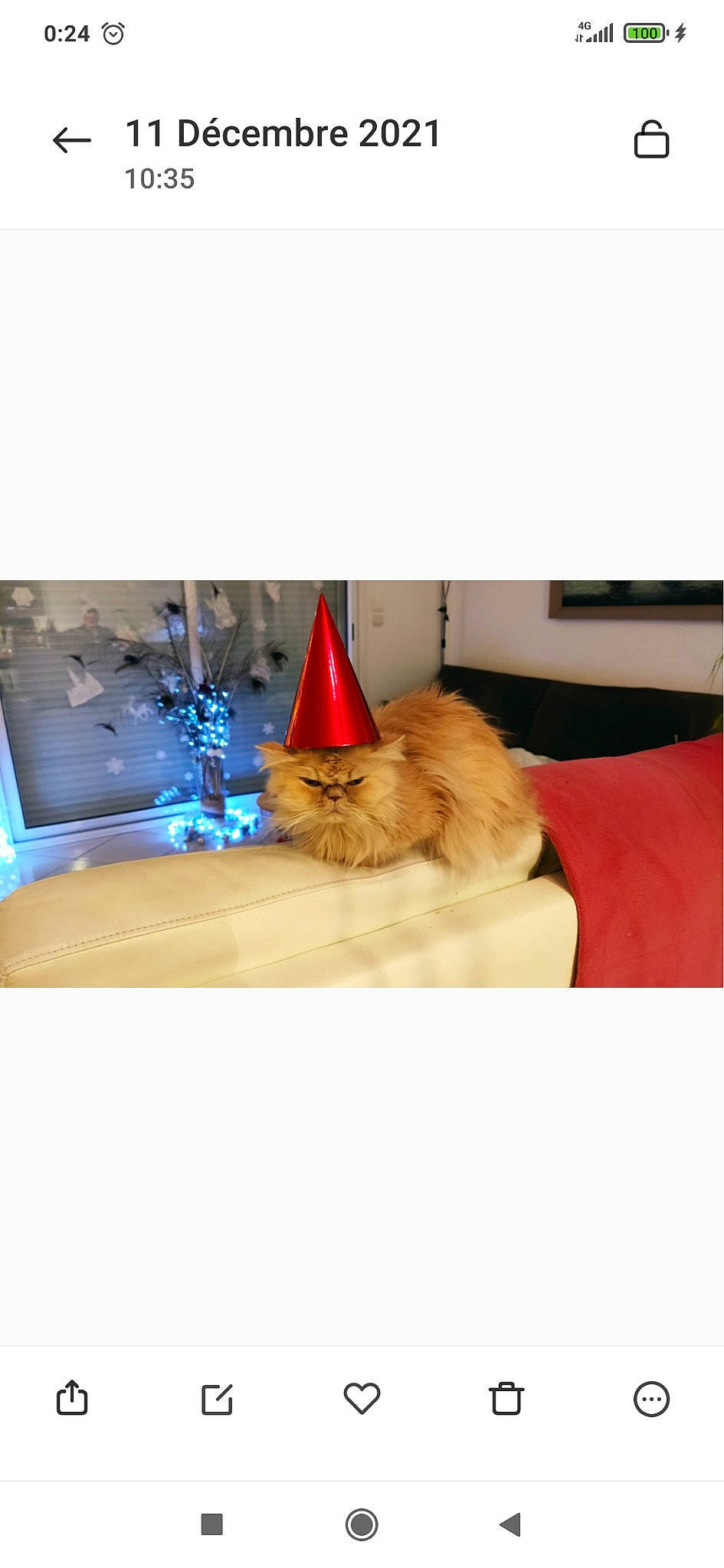 Gladys a rejoint le concours — aidez-le/la à gagner de superbes lots ! bathroom, bathroom_cabinet, bathroom_sink, carnivore, cat, comfort, companion_dog, fawn, felidae, fluid, fur, liquid, plumbing, plumbing_fixture, room, sink, small_to_medium_sized_cats, tap, vertebrate, whiskers