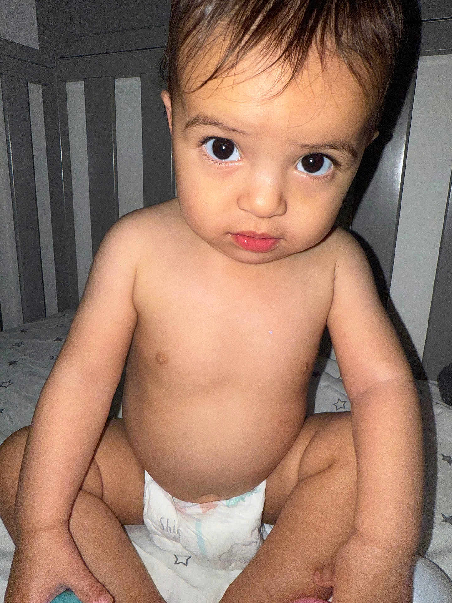 Araceli